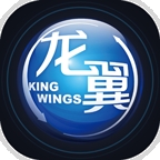 掌上龙翼车辆管理平台app