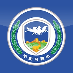 平安马鞍山智慧综治平台客户端安卓版
