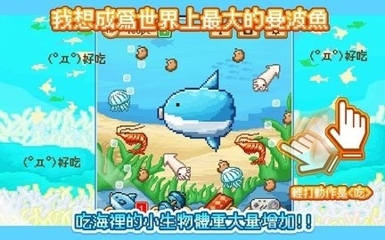 Mola mola中文版