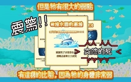 Mola mola中文版