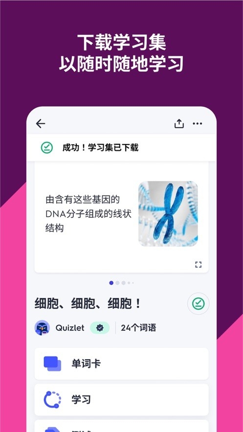 Quizlet安卓官方最新版