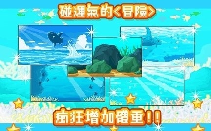 Mola mola中文版