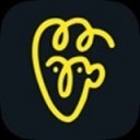 avatarify换脸软件安卓最新版