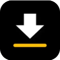 Video Downloader安卓中文版