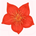 爱我崇左官方正版