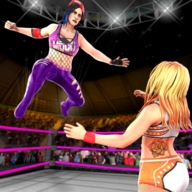 Bad Girls Wrestling安卓版游戏