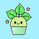 funbox微信内置模块最新版