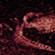 铁肺Iron Lung手机版