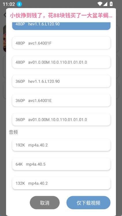 bvd下载器app最新版