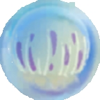 合成大水母jellyfish游戏官方正版