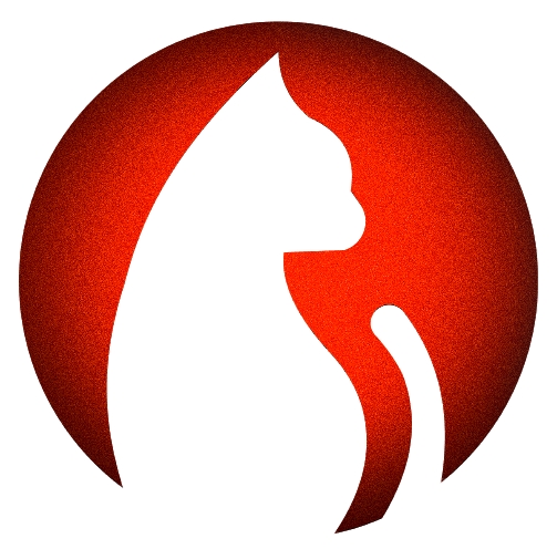 追剧猫最新官方版