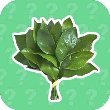 广西大师语音盒最新手机版