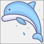 海豚视频app最新版本