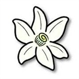 azaharplus模拟器安卓版