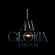 IAG Official Light Stick应援棒安卓版