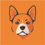 皮皮影视最新安卓版