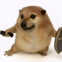 我的刀盾桌宠最新版