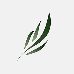 东南小说APP官方最新版