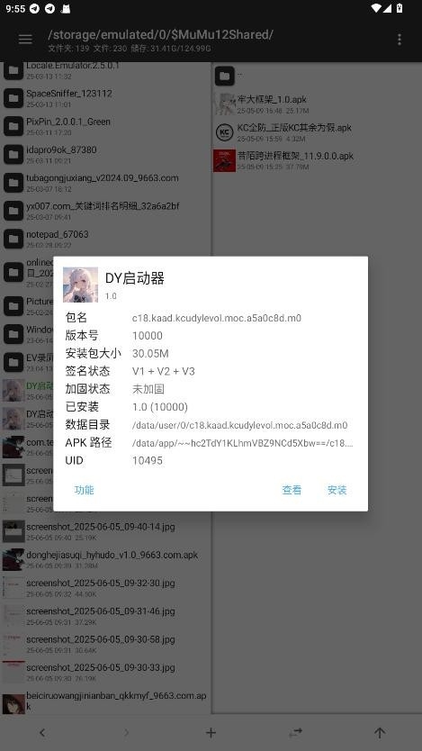 DY启动器安卓版