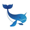 次元岛APP官方版