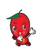 红枣启动器最新版本