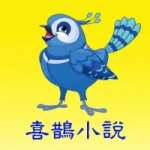 喜鹊小说极速版APP安卓版