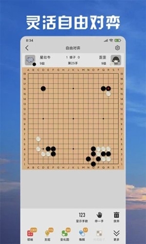 星阵围棋app手机版