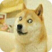 尘埃辅助器想2026最新免费版