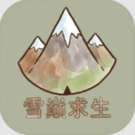 雪巅求生游戏