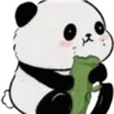 小熊猫插件最新版本