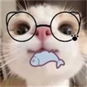 主题仓Pro2026最新版