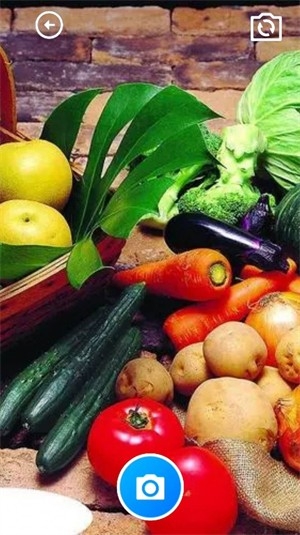 花蝶舞盒子软件2026最新版