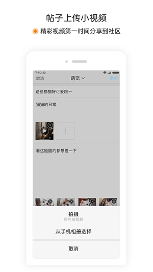 萧内网app手机版