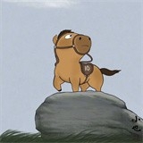 小林美化助手最新版本