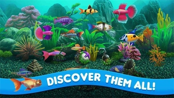 Fish Tycoon 2最新版游戏