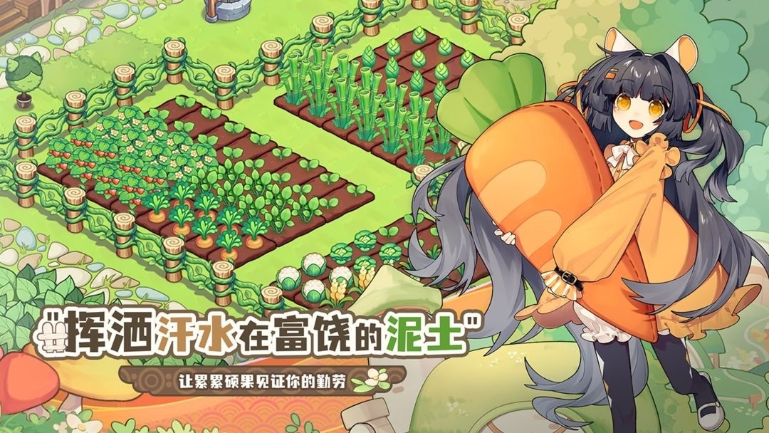 天空岛传说游戏最新版