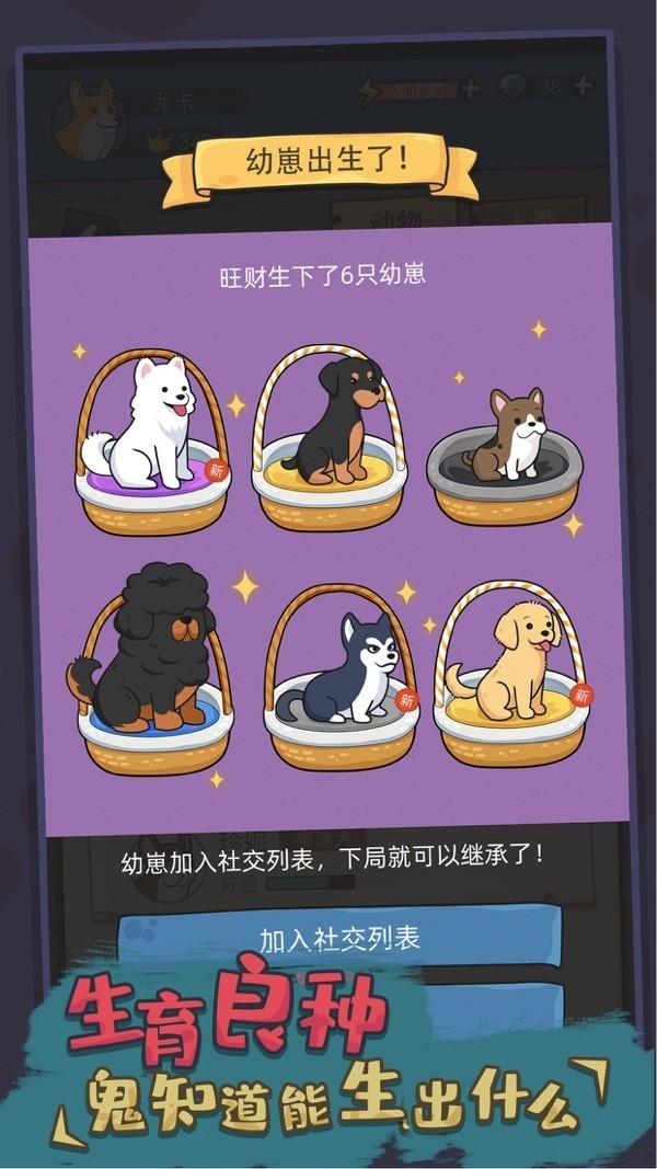 狗生模拟器游戏官方版