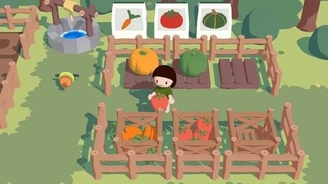 小岛时光官方正版