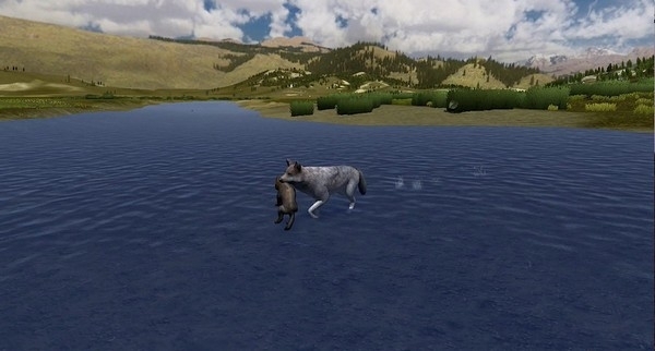 野狼谜踪WolfQuest安卓版