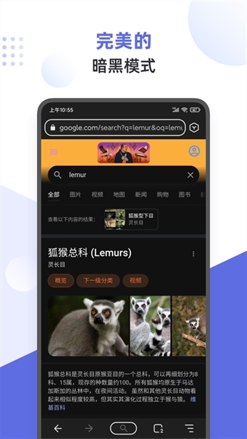 狐猴浏览器App最新版