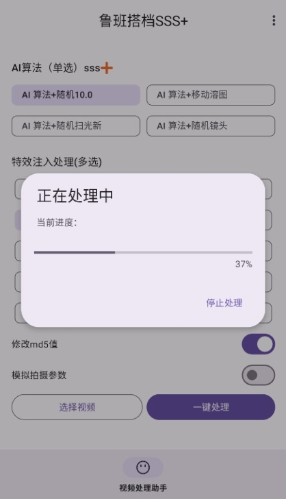 鲁班搭档SSS+免费版