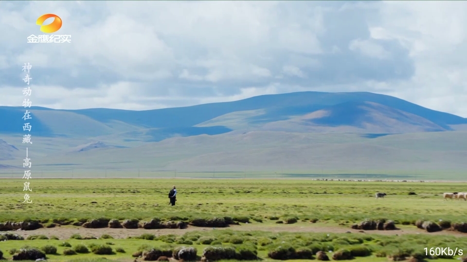 落日TV最新电视版