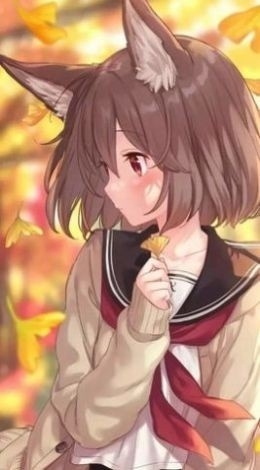 严选漫画免费安卓版